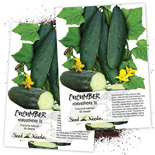 Seed Needs  Marketmore 76 Cucumber Cucumis sativus Twin Pack of 90 Seeds Each