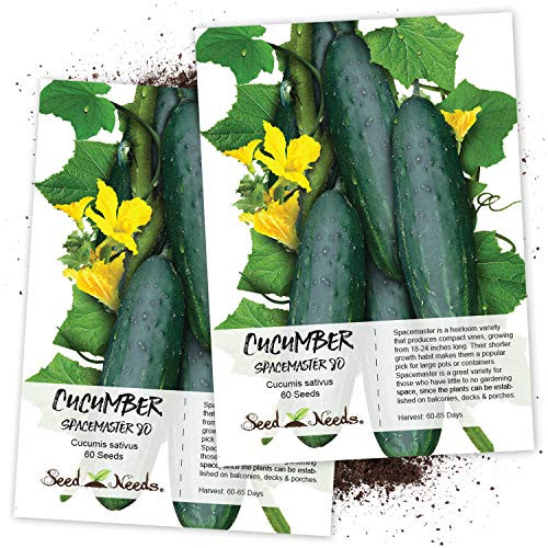 Seed Needs Spacemaster 80 Cucumber Cucumis sativus Twin Pack of 60 Seeds Each Seed Needs Spacemaster 80 Cucumber Cucumis sativus Twin Pack of 60 Seeds Each