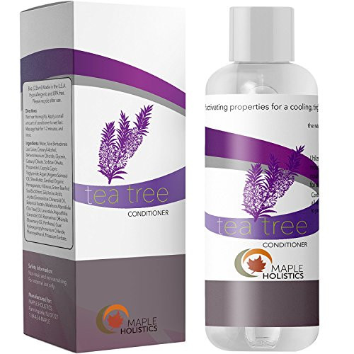 100 Pure Tea Tree Oil Hair Conditioner for Dry Dandruff Damaged Hair Therapeutic Treatment Soft Shiny Hair with Lavender Rosemary Jojoba and Strengthening Keratin Amino Acids for Healthy Hair Growth 100 Pure Tea Tree Oil Hair Conditioner for Dry Dandruff Damaged Hair Therapeutic Treatment Soft Shiny Hair with Lavender Rosemary Jojoba and Strengthening Keratin Amino Acids for Healthy Hair Growth