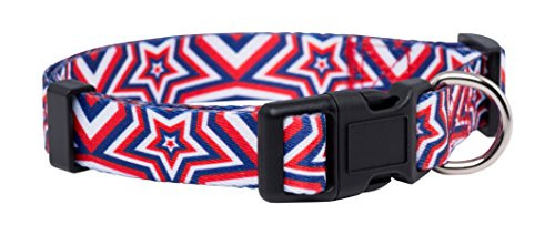 Native Pup American Flag Dog Collar Medium  Flag I