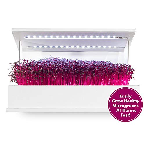 Grow Book Salad Edition, Grow Healthy Microgreens at Home. Complete Indoor Garden Including Organic Non GMO Seeds, Potting Soil & LED Grow Lights.