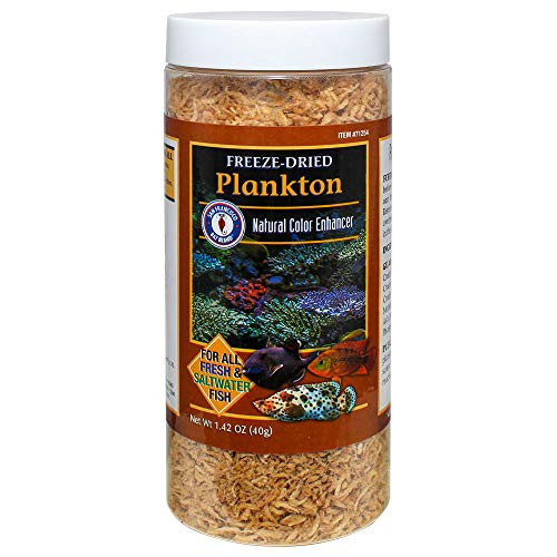 San Francisco Bay Brand Freeze-Dried Plankton 1-42-Ounces 40-Grams Jar