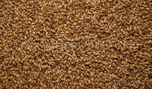 CaraRed 1 lb by Weyermann