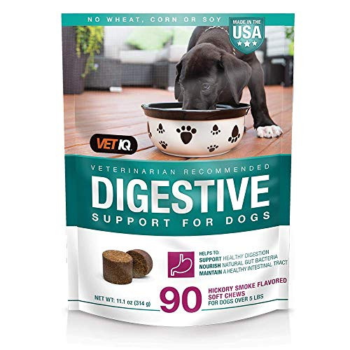 VETIQ Digestive Support Supplement for Dogs  Soft Chews 90Ct  11-1oz