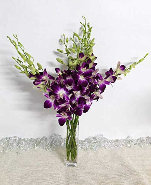 Athena's Garden Fresh Vibrant Purple Dendrobium Sonia/Galaxy/Bombay Cut Orchids Bunch with Vase Glass
