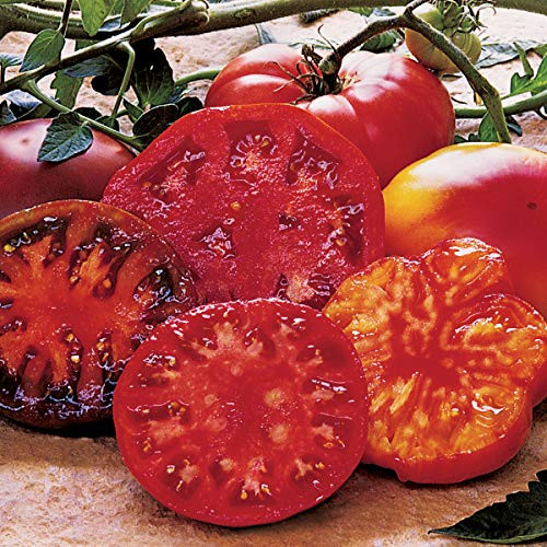 Burpee Heirloom Taste Collection | Our 4 Best Varieties | 4 Packets | 390 Seeds