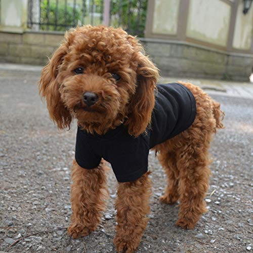 Lovelonglong 2019 Pet Clothing Dog Costumes Basic Blank T-Shirt Tee Shirts for Small Dogs Black XS
