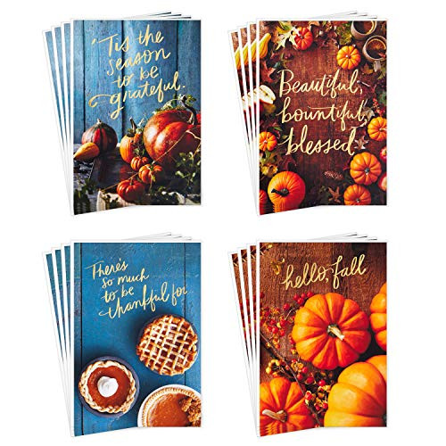 Hallmark Thanksgiving Cards Assortment  Hello Fall 16 Assorted Seasonal and Blank Cards with Envelopes