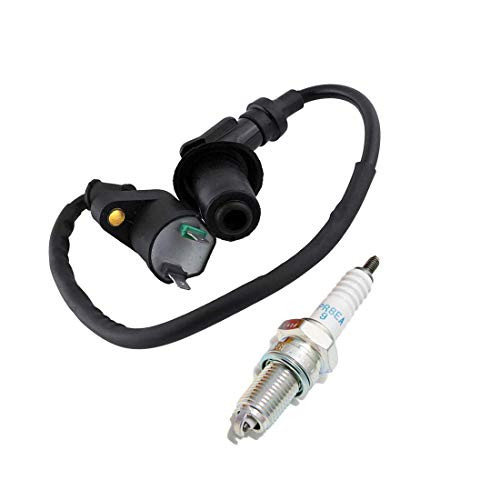 TRX300 Ignition Coil with 4929 DPR8EA9 Spark Plug for TRX 300 FourTrax 1988 1989 1990 1991 1992 1993 1994 1995 1996 1997 1998 1999 2000