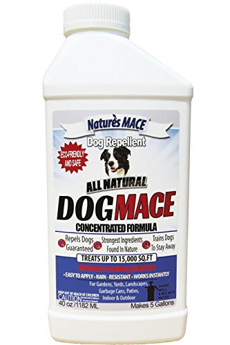 Dog MACE Dog Repellent 40oz Concentrate