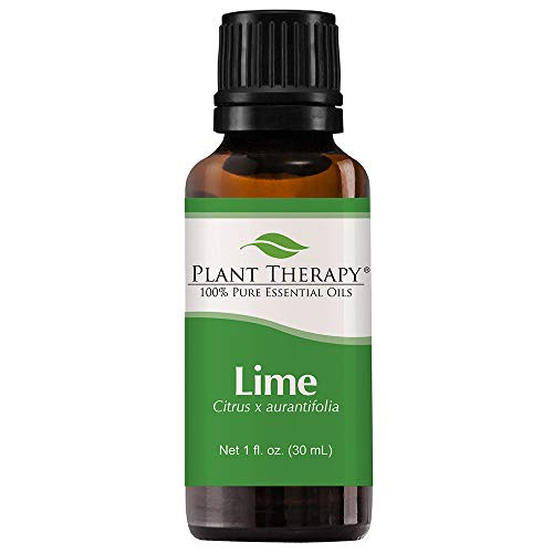 Plant Therapy Lime Essential Oil 30 mL 1 oz 100  Pure  Undiluted  Therapeutic Grade