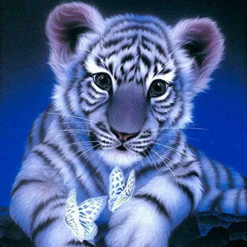 DIY 5D Diamond Painting Kits for Adults Full Drill Embroidery Paintings Rhinestone Pasted Painting Cross Stitch Full Drill Crystal Rhinestone Embroidery Pictures Arts Craft ?12lnx12ln? DIY 5D Diamond Painting Kits for Adults Full Drill Embroidery Paintings Rhinestone Pasted Painting Cross Stitch Full Drill Crystal Rhinestone Embroidery Pictures Arts Craft ?12lnx12ln?