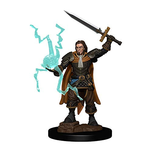 Pathfinder  Battles  Premium Painted Figures  Human Cleric Male
