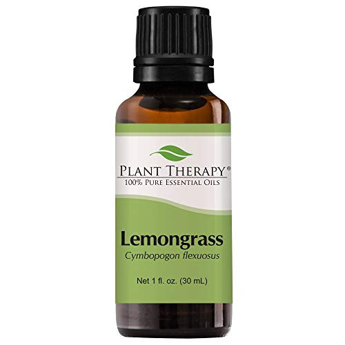 Plant Therapy Lemongrass Essential Oil 100 Pure Undiluted Natural Aromatherapy Therapeutic Grade 30 mL 1 oz Plant Therapy Lemongrass Essential Oil 100 Pure Undiluted Natural Aromatherapy Therapeutic Grade 30 mL 1 oz