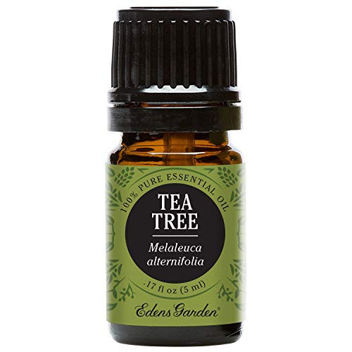 Edens Garden Tea Tree Essential Oil 100 Pure Therapeutic Grade Allergies Inflammation 5 ml Edens Garden Tea Tree Essential Oil 100 Pure Therapeutic Grade Allergies Inflammation 5 ml