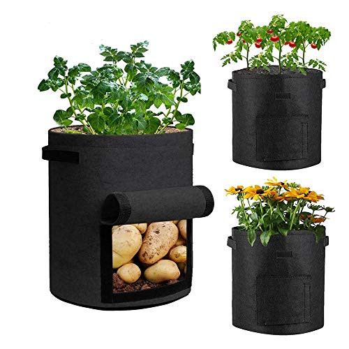 AUSTARK 5 Gallon Plant Grow Bags 3 Pack Vegetable Growing Bags Potato Tomato Planter Bags Fabric Garden Pots with Handles and Harvest Window Black AUSTARK 5 Gallon Plant Grow Bags 3 Pack Vegetable Growing Bags Potato Tomato Planter Bags Fabric Garden Pots with Handles and Harvest Window Black