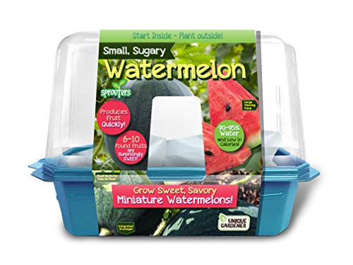 Grow Your Own Watermelons - Everything You Need to Sprout Sweet and Delicious Mini Watermelons - Each Can Weigh Between 6 and 10 Lbs