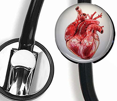 Heart Stethoscope Tag Personalized Nurse Doctor Stethoscope ID Tag Customized  Medical Stethoscope Name Tag