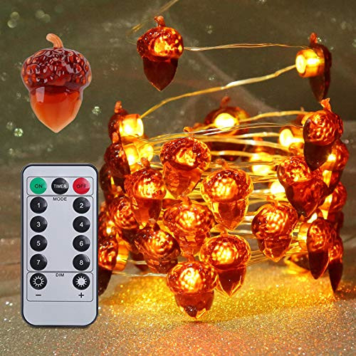ShuYo Fall Decoration String Lights  10 Ft Silver Wire 40 Led String Lights Battery Powered with Remote and Timer for Outdoor Indoor Thanksgiving Halloween Wedding Birthday Harvest Party Acorn Lights