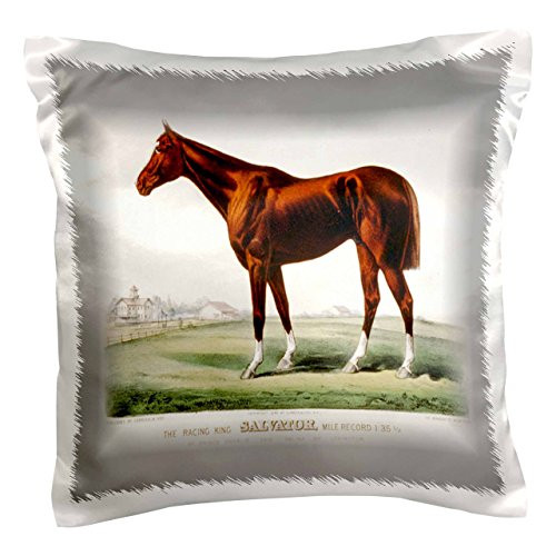 3dRose pc389141 Beautiful Brown Race Horse in Field-Pillow Case  16 by 16