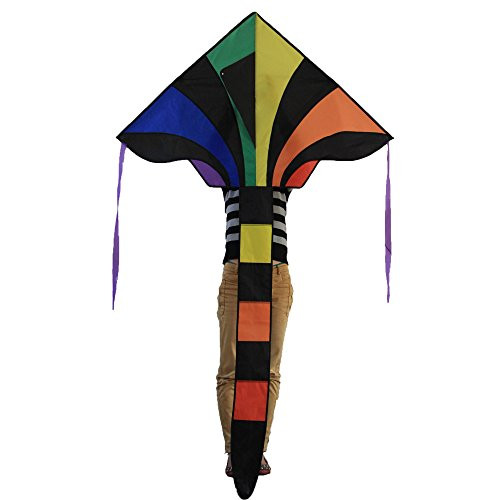 Fun Central 46 Inch Rainbow Delta Premium Kite for Kids and Adults