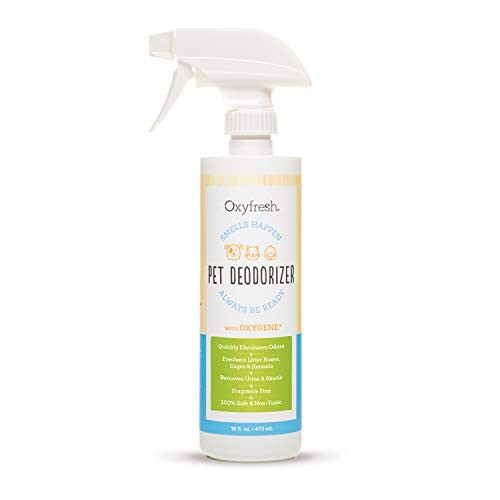 Oxyfresh All Purpose Pet Deodorizer for Dogs and Cats  Non Toxic Pet Deodorizer Spray- Perfect for Every Kind of Pet Odor  Kennel Odors  Kitten Litter Boxes  Urine  Skunk- 16 oz-