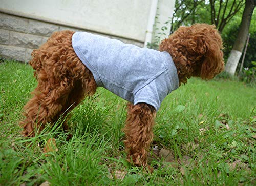 Lovelonglong 2019 Pet Clothing Dog Costumes Basic Blank T-Shirt Tee Shirts for Small Dogs Gray M
