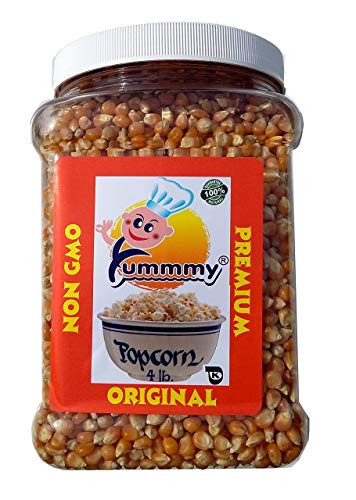 Yummmy Popcorn Original 56 Oz  100  Natural Pop Corn  Kosher certified  BPA free container