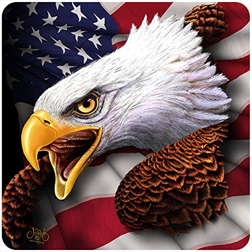 SignMission Patriotic Eagle Head Novelty Sign   Indoor-Outdoor   Funny Home Decor for Garages  Living Rooms  Bedroom  Offices Personalized Gift Wall Plaque Decoration SignMission Patriotic Eagle Head Novelty Sign   Indoor-Outdoor   Funny Home Decor for Garages  Living Rooms  Bedroom  Offices Personalized Gift Wall Plaque Decoration