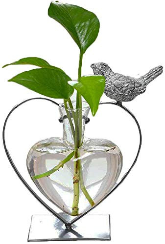 Desktop Glass Planter Hydroponics Vase Planter Glass Vase with Holder for Home Decoration Modern Creative Heart Shape Bird Plant Terrarium Stand  Scindapsus Container