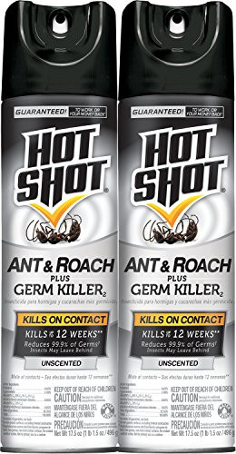 Hot Shot Ant   Roach Plus Germ Killer  Unscented Aerosol  17-5-Ounce