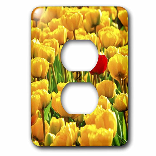 3dRose lsp_55164_6"1 Red Among Yellow Tulips - 2 Plug" Outlet Cover