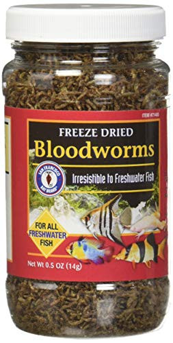 San Francisco Bay Brand-Sally s Freeze Dried Bloodworms - 0-5 oz-