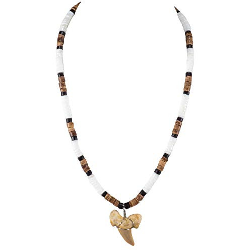 BlueRica Shark Tooth Pendant on Puka Shell Beads Black Tiger Coconut Beads Necklace 2S BlueRica Shark Tooth Pendant on Puka Shell Beads Black Tiger Coconut Beads Necklace 2S