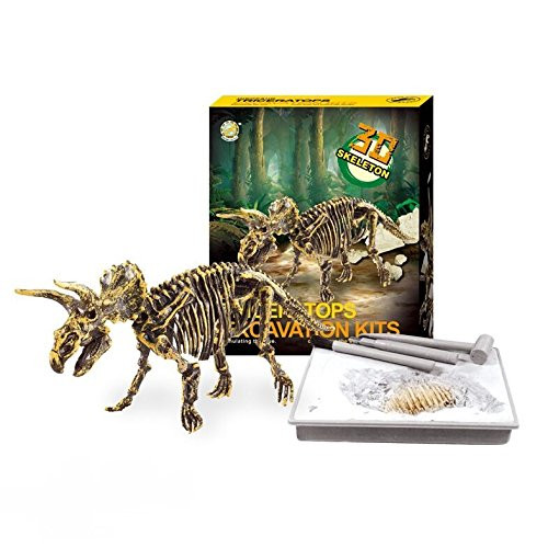 Redtail Dinosaur Excavations Kits - Unearth 3D Dinosaur Bones - Triceratops