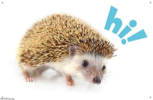 Cute Hedgehog - Hi! Wall Poster with Push Pins