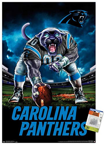 NFL Carolina Panthers - 3 Point Stance 19 Wall Poster with Push Pins