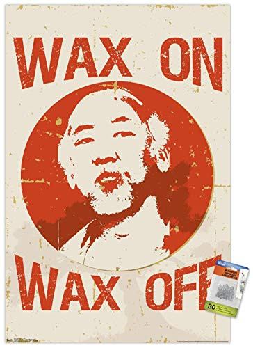 The Karate Kid 1984 - Wax Wall Poster with Push Pins
