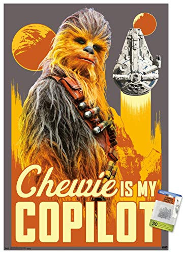 Star Wars  Solo - Chewie Wall Poster with Push Pins