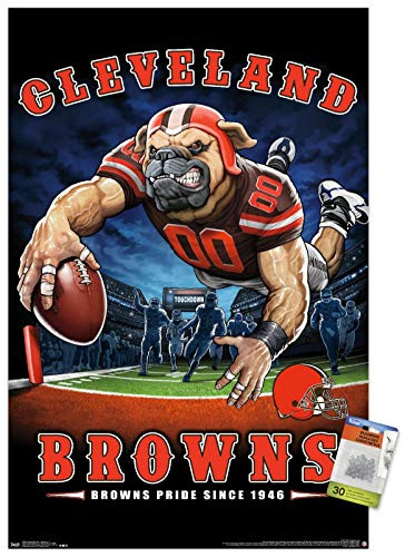 NFL Cleveland Browns - End Zone 17 Wall Poster with Push Pins