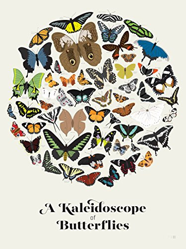 Pop Chart Lab A Kaleidoscope of Butterflies Poster Print, 18" x 24", Multicolored