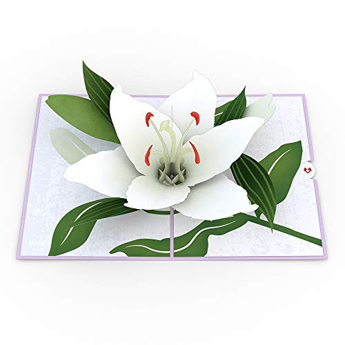Lovepop Sympathy Lily Pop Up Card - 3D Card  Sympathy Card  Pop Up Sympathy Card  Peace Card  Sympathy