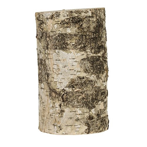 Walnut Hollow 7-inch Rustic Birch Pillar for Home Decor  Weddings  Candle Stands and Art   Craft Projects