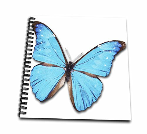 3dRose db_37350_2 Turquoise Large Butterfly Memory Book, 12 by 12-Inch