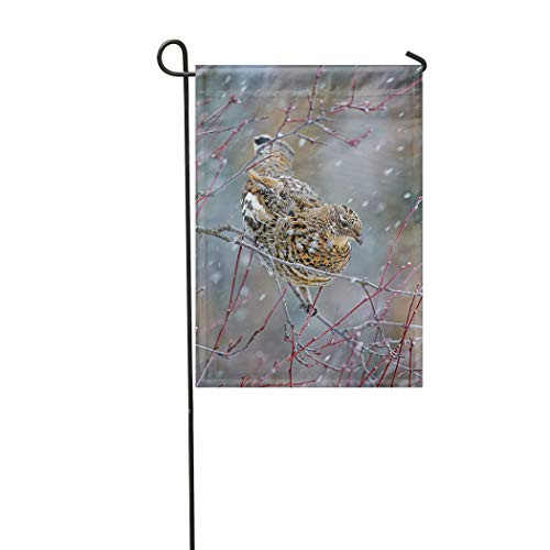 Vooft Grouse Double Sided Garden Flag Animal Ruffed Perched Tree Snowstorm Bird Bonasa Umbellus 28 x40  Soft Durable Outdoor Banner Courtyard Lucky Corridor Furniture Durable Waterproof Decoration