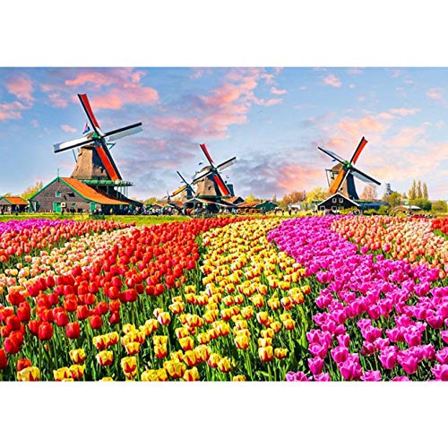 DIY 5D Diamond Painting Tulips by Number Kits  Painting Cross Stitch Full Drill Crystal Rhinestone Embroidery Pictures Arts Craft for Home Wall Decor