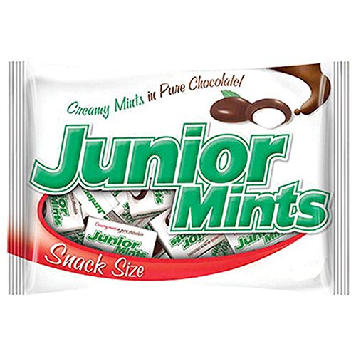 Junior Mint Chocolate Candy Snack Size Bulk Bag  10 oz