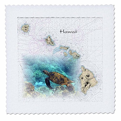 3dRose qs_204889_10 Print of Hawaiian Islands Chart with Sea Turtle Quilt Square, 25 by 25"
