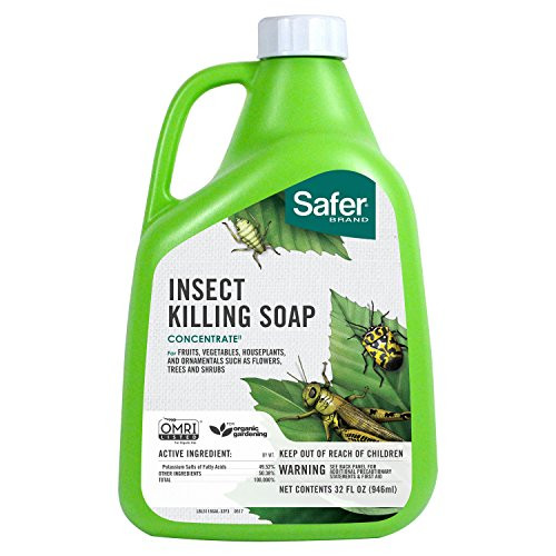 Safer Brand 5118 Insect Killing Soap Concentrate, 32-Ounce Safer Brand 5118 Insect Killing Soap Concentrate, 32-Ounce