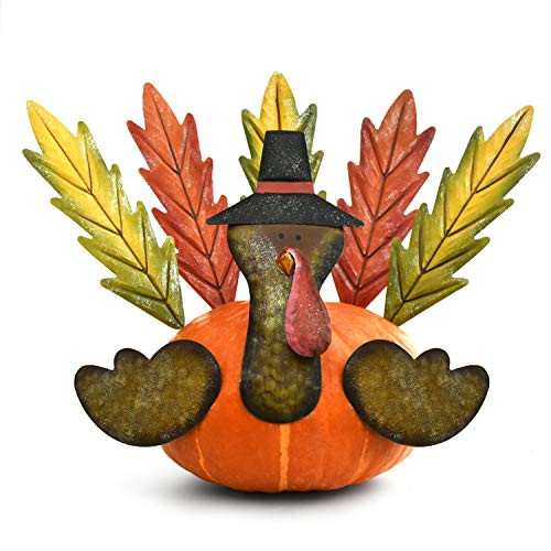 Rocinha Thanksgiving Turkey Pumpkin Making Kit Handcrafted Turkey Decoration Pumpkin Table Decor for Fall Harvest Party - The Best Thanksgiving Centerpiece Decor Pumpkin Pokes Set of 8 Metal Rocinha Thanksgiving Turkey Pumpkin Making Kit Handcrafted Turkey Decoration Pumpkin Table Decor for Fall Harvest Party - The Best Thanksgiving Centerpiece Decor Pumpkin Pokes Set of 8 Metal